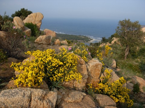 Inebrianti passeggiate tra i profumi della natura sul parco di Biderosa