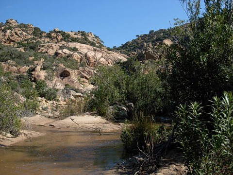 Offrono suggestive passeggiate su sentieri ombreggiati da piante secolari e incorniciati da rocce scolpite dal vento